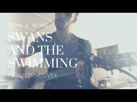 Swans And The Swimming - Iron And Wine