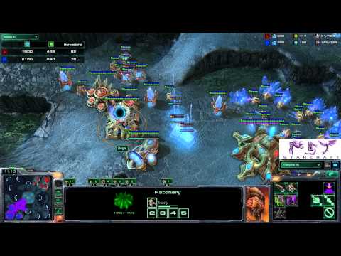 SC2 Ouga[P] vs [Z]vilePsY