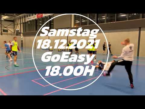 Vorschau Handball Endingen - SG Wädenswil/Horgen