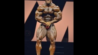 Mr. Olympia 2015 prep judging top 5