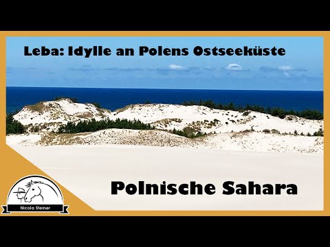 Die polnische Sahara: Ich nehme euch mit zur Wanderdüne Leba - slowinzinischer Nationalpark Polen