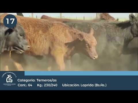 Lote M Y H - Laprida Bs As