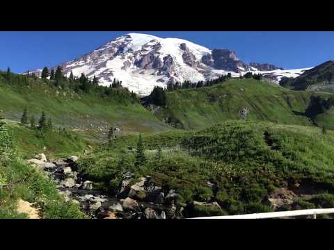 Mount Rainier National Park Wildflower Bloom