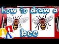 How To Draw A Realistic Bee How To Draw A Realistic Bee