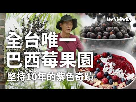 CORTIS的最愛! 巴西莓Acai 台灣也有?全台唯一!他堅持10年種出「超級食物」【Well Talk】