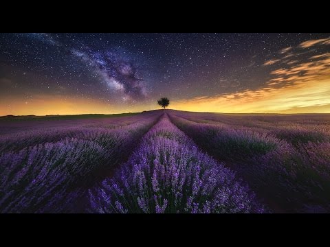 Max Vangeli - Stay Out (ft. Connor Foley)