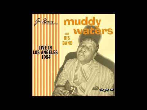 Muddy Waters And His Band - Oh Yeah (Live)