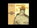 Muddy Waters And His Band - Oh Yeah (Live)
