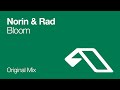 Bloom by Norin and Rad