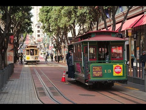 Scott McKenzie - San Francisco (Lyrics) Legenda Inglês - Português