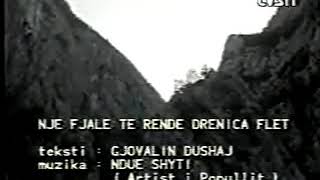 Dava Gjergji - Fjalë Të Rëndë Drenica Flet