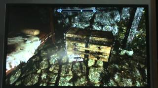 How to Mod Skyrim with Horizon: Level 255