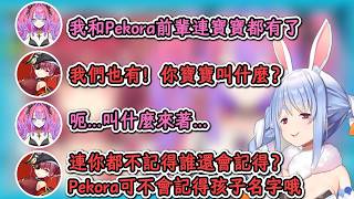 在Pekora爭奪戰中，因爲忘記孩子名字被船長說教的Vivi！【寶鐘瑪琳×綺綺羅羅薇薇】【hololive中文精華】【ホロライブ切り抜き】【中日字幕\附單字解釋】