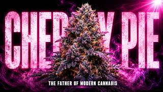 Cherry Pie: The California Strain That Fathered Half of Modern Cannabis