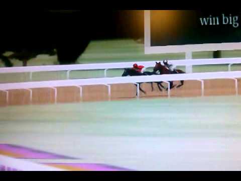 The great match race 2