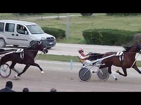 Aversa trotto 1 Febbraio 2020 - 3° Corsa