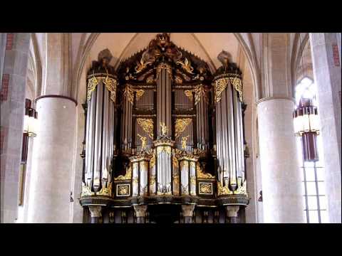 Bach - Organ Concerto BWV 594 - Ton Koopman