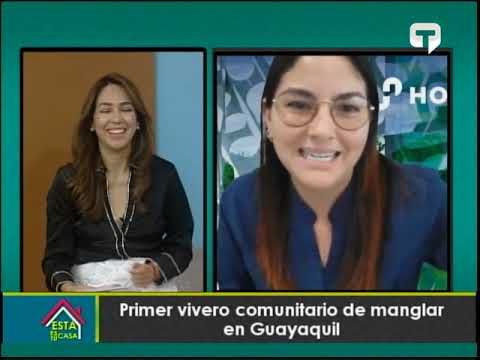 Primer vivero comunitario de manglar en Guayaquil