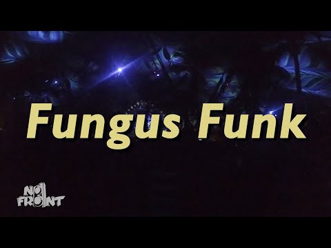 Fungus Funk @ Universo Paralello #15