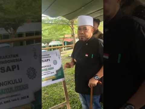 Gubernur Bengkulu Tinjau Sapi Kurban dari Presiden