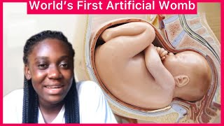 World’s First Artificial Womb