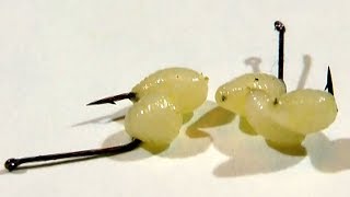 Личинки чернобыльника для зимней рыбалки