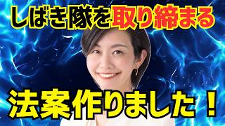 【参政党】梅村みずほ議員がしばき隊撲滅に向けて法案を作っております。