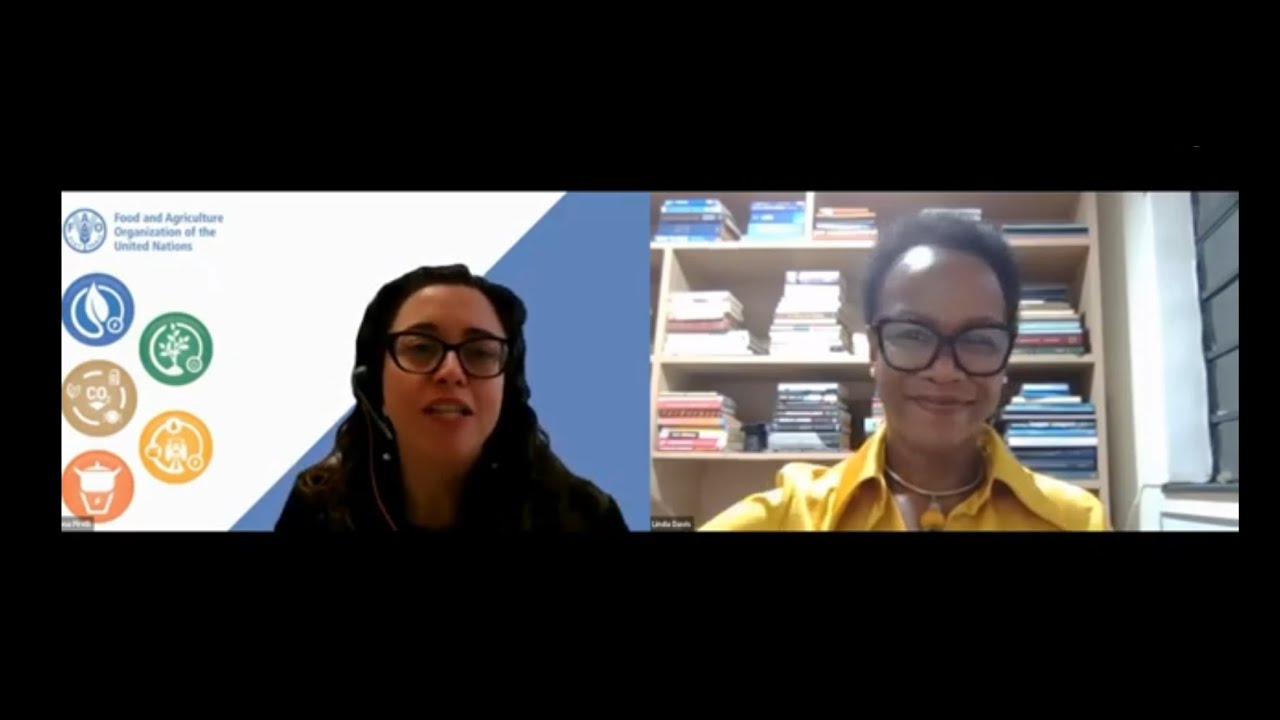 Bioethanol for clean cooking: Valuable insights on domestic ethanol production from cassava