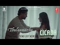 Thulaamazha Video Song CICADA Sreejith Edavana Aparna Rajeev Vandana Menon Vivek Muzhakkunnu