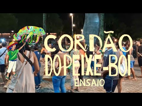 Festividade - Arraial do Pavulagem