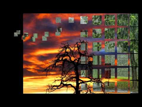 Max Riebl Australia   Heidenroslein