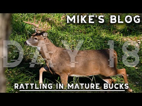 Rattling In A SUPER MATURE Buck, First Try At Decoying Fitzmagic | Mike's Blog