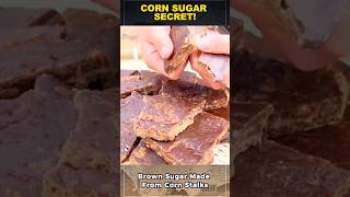How Corn Stalks Turn Into Natural Brown Sugar!