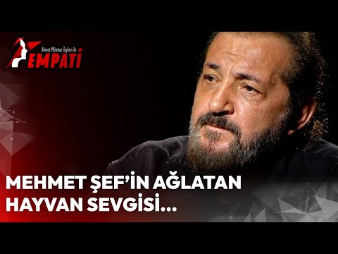 Mehmet Şef'in Ağlatan Hayvan Sevgisi... | Ahmet Mümtaz Taylan ile Empati #MehmetYalçınkaya