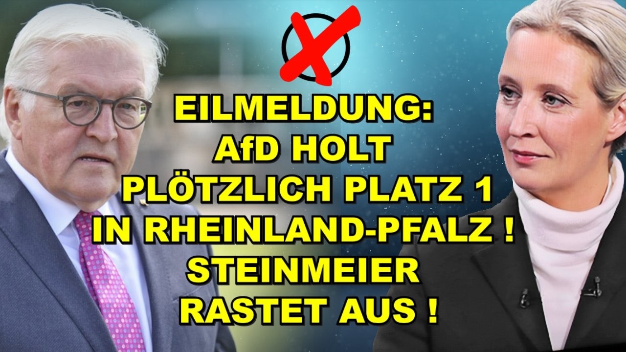 EIL: AfD HOLT PLATZ 1 IN RHEINLAND-PFALZ!
