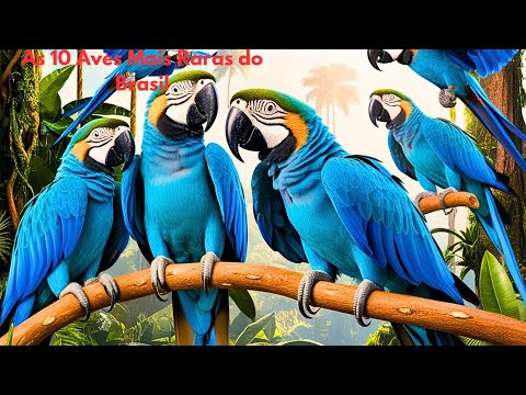 As 10 Aves Mais Raras do Brasil: Uma Jornada pela Biodiversidade