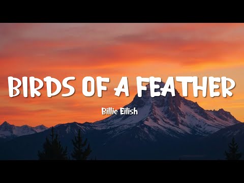 Billie Eilish - BIRDS OF A FEATHER (Lyrics)