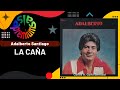 🔥LA CAÑA por ADALBERTO SANTIAGO - Salsa Premium