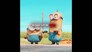 "Stop The Car I Beg You" - Minions Edit |  Zara Larsson - Lush Life
