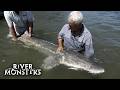 Jeremy Wade S BIGGEST Catches River Monsters