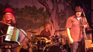 Brave Combo @ Piney Woods PolkaFest