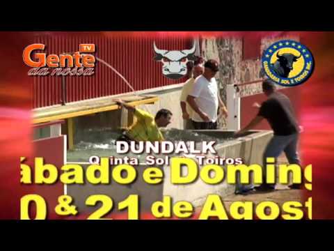 FESTA BRAVA & PICNIC - RUNNING of the BULLS