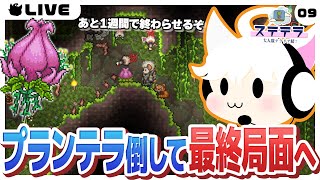 【Terraria/9日目】プランテラ倒すぞ！優秀な武器多いから周回もしたいね【ステテラ】