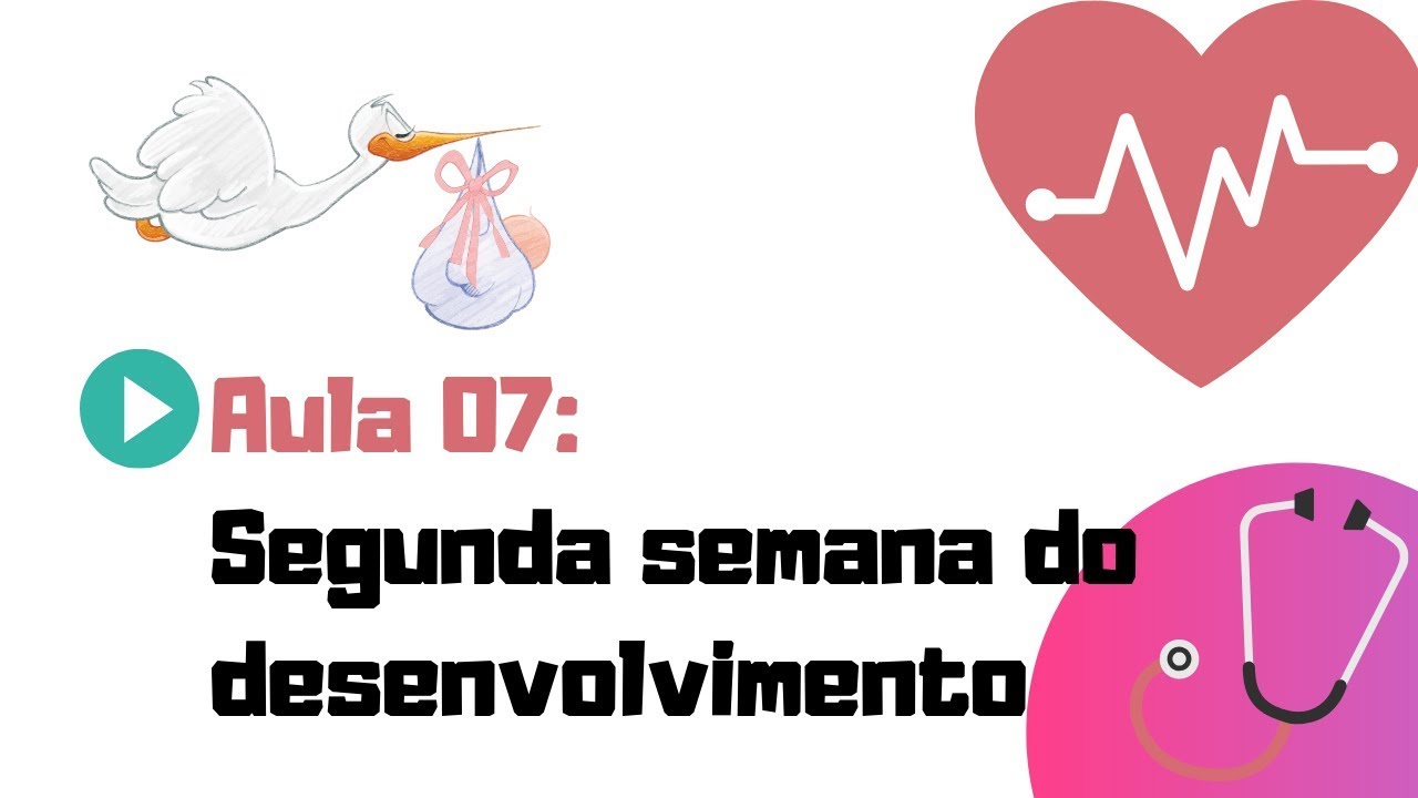 EMBRIOLOGIA HUMANA | AULA 07 | SEGUNDA SEMANA DO DESENVOLVIMENTO EMBRIONÁRIO