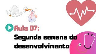 EMBRIOLOGIA HUMANA | AULA 07 | SEGUNDA SEMANA DO DESENVOLVIMENTO EMBRIONÁRIO