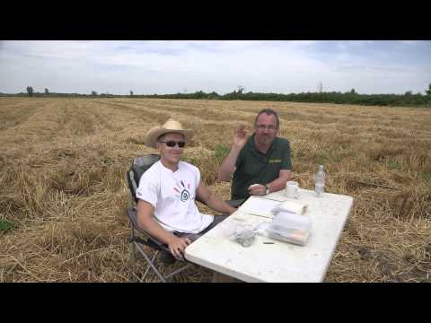 Minelab SDC 2300 hoard hunting in Croatia