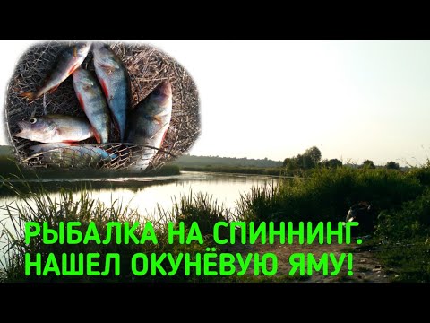 Фото Рыбалка на спиннинг. Нашел окунёвую яму!