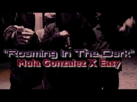 Mula Gonzalez X Easy [OFFICIAL VIDEO] - Roaming In The Dark #CARTELMOB Cartel Mob