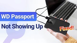 2024 Fixed | WD Passport Not Showing Up/Recognized in Windows 10&11