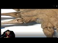 Alien Glass Eyes Paint Used To Make Alien Facehugger 3D Printed Movie Prop